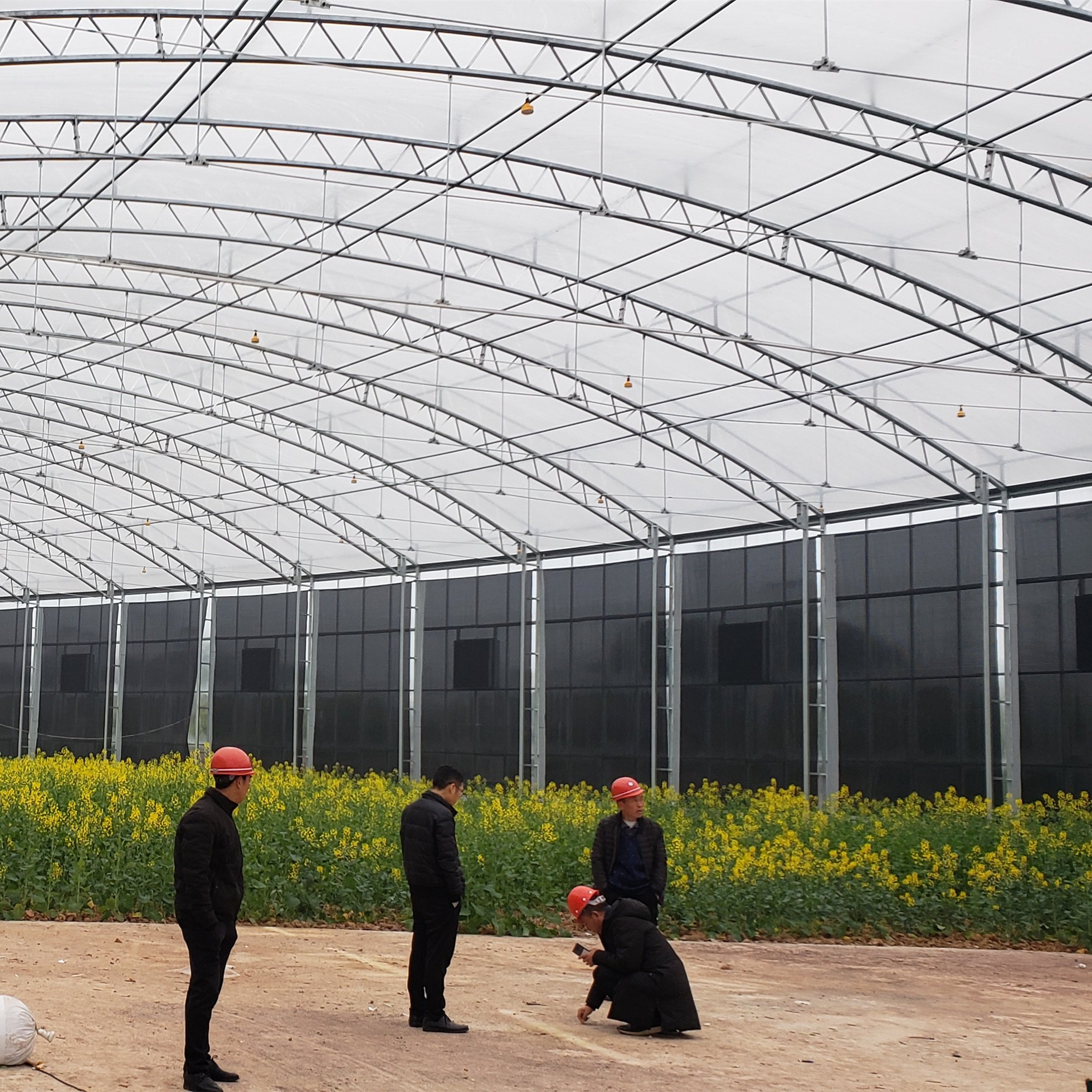 JIAPEI Spherical greenhouse, high-end customization Agricultural greenhouse Exhibition greenhouse