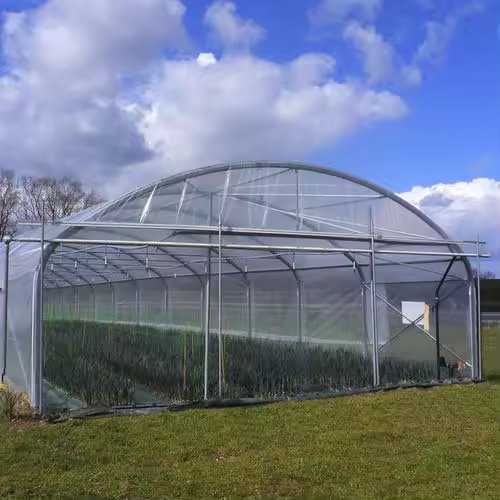 Smart farm grow hydroponic vertical farming system 40ft shipping container farm greenhouse