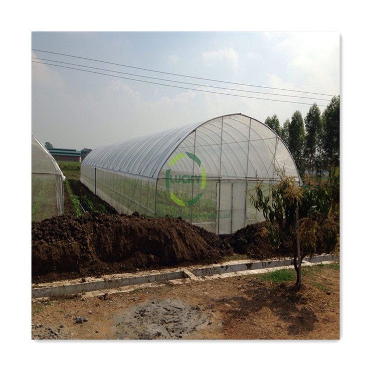 Smart farm grow hydroponic vertical farming system 40ft shipping container farm greenhouse