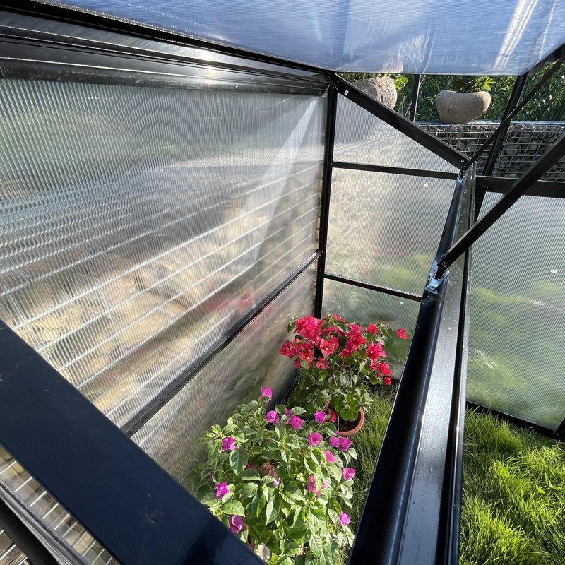 Agricultural Greenhouses Mini Greenhouse Aluminum Frame Outdoor House Kits for Garden Plants
