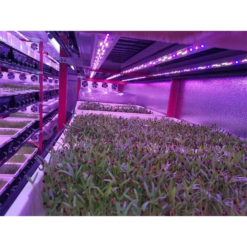 Smart Farm Grow Hydroponic Vertical Farming System 40ft Shipping Container Farm Greenhouse