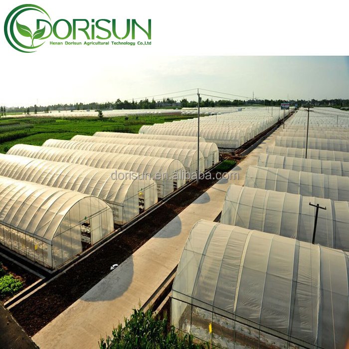 hydroponics aluminum frame single span film greenhouse strawberry vertical shipping container greenhouse system with insect mesh