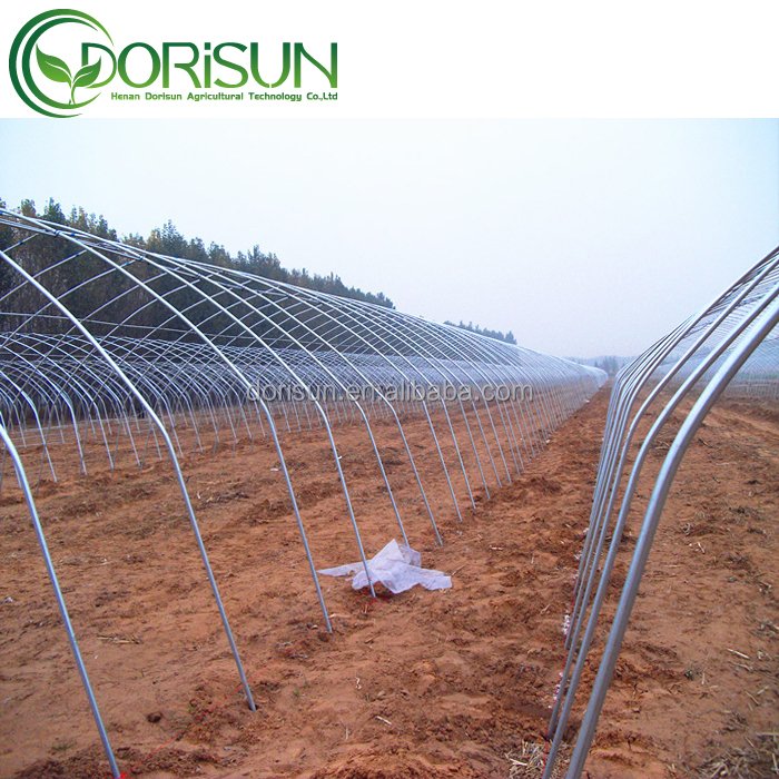 hydroponics aluminum frame single span film greenhouse strawberry vertical shipping container greenhouse system with insect mesh