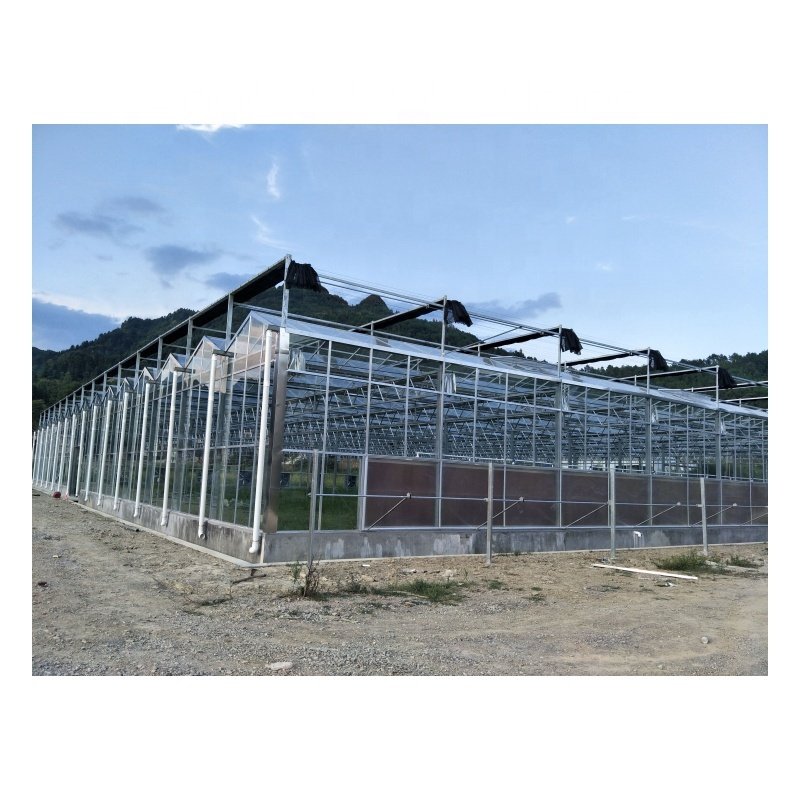 Special Offer Good Light Transmission Glass Greenhouse High Quality