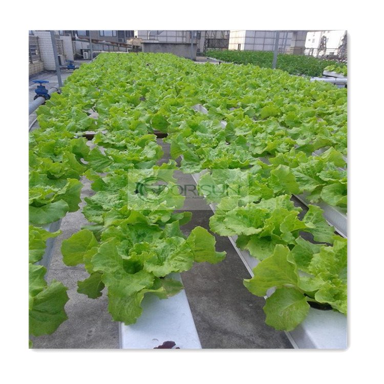 Factory Professional Production Food Grade Hydroponic Equipment Nft Pipe Channels For Greenhouse Hydroponic Growing Nft Channel