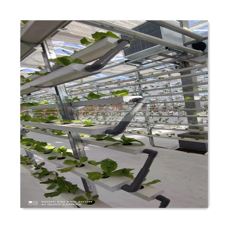 Factory Professional Production Food Grade Hydroponic Equipment Nft Pipe Channels For Greenhouse Hydroponic Growing Nft Channel