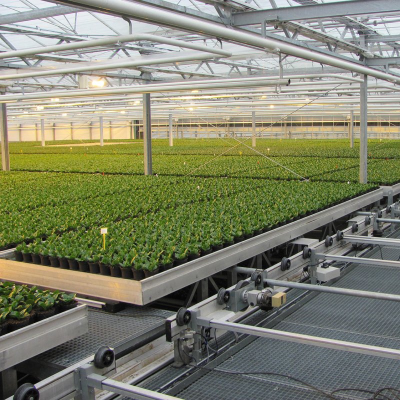 Commercial Greenhouse Stand Rolling Flood And Drain Hydroponic 4X8 Flood Tables