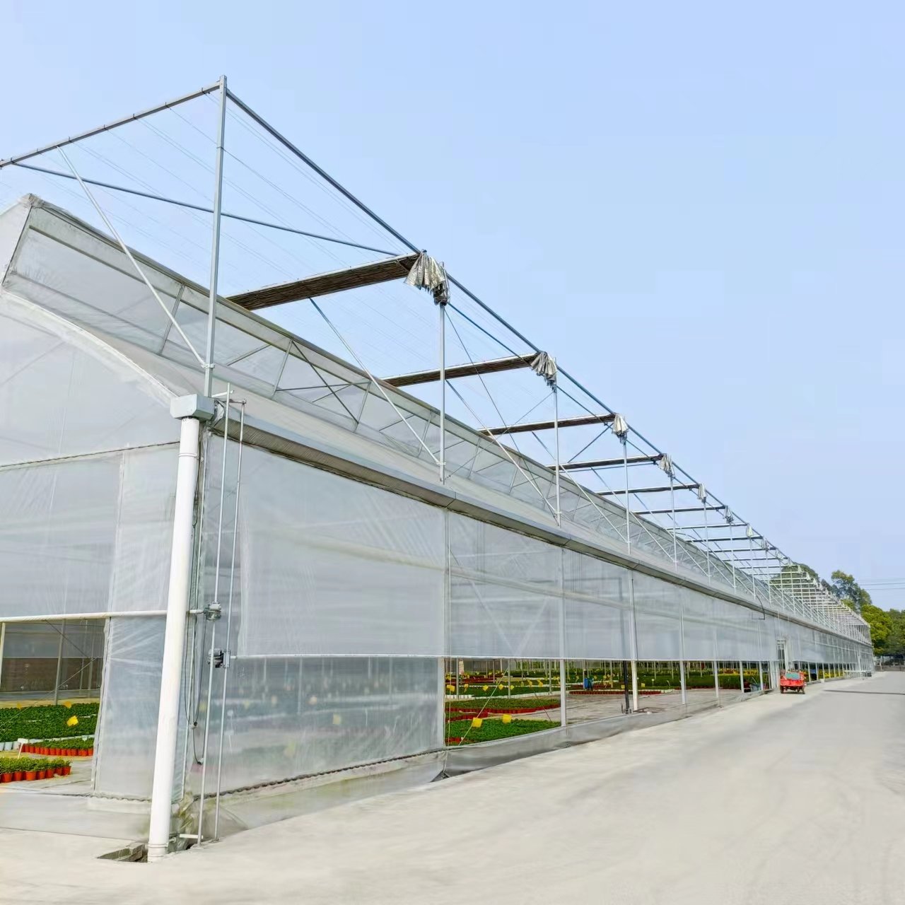 CHOYUEH Good Quantity And Hot Sale Commercial Greenhouse Sawtooth Greenhouse Agriculture Greenhouse For Vegetables Growing