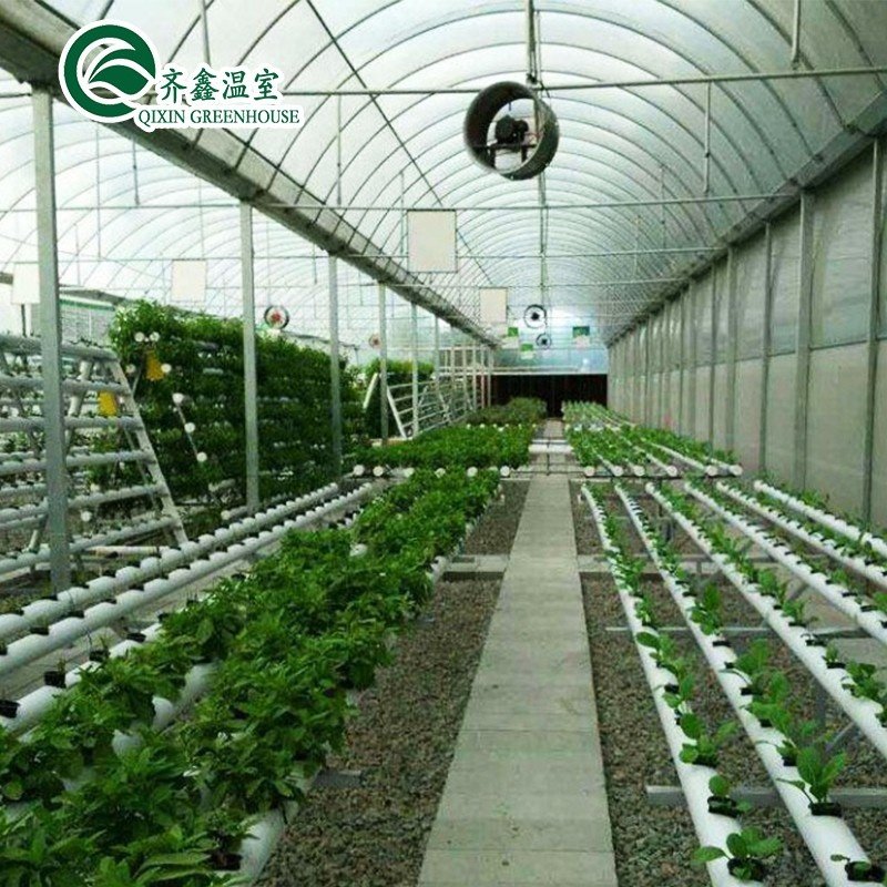 vertical farming for greenhouse
