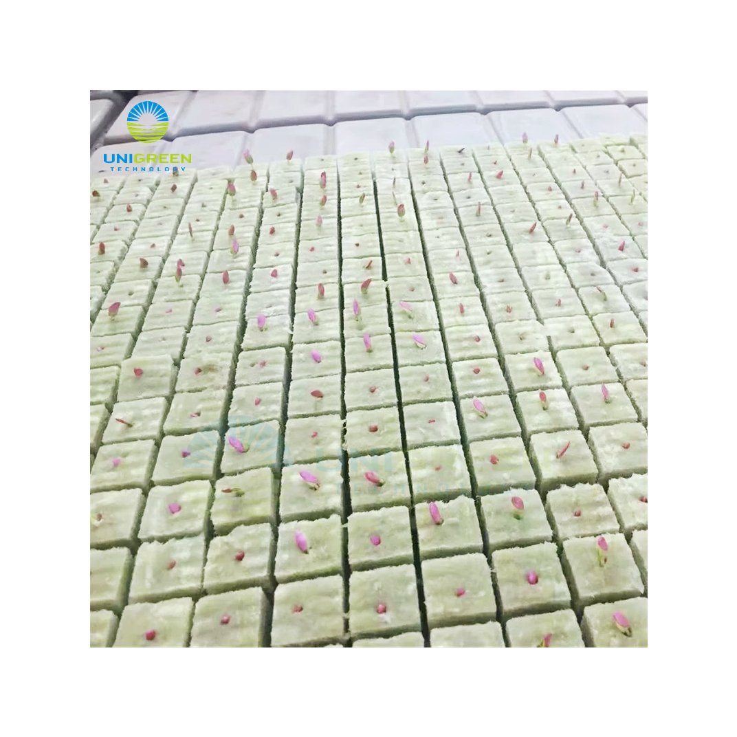 Small Grow Rock Wool Cubes With Planting Holes Clone Rock Commercial Greenhouse Hydroponic Growing Medium Block Wool Grow Plugs