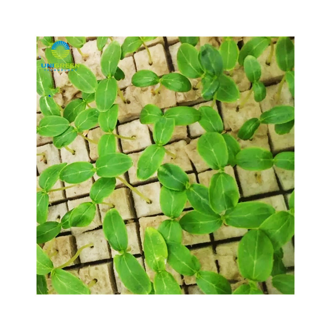 Small Grow Rock Wool Cubes With Planting Holes Clone Rock Commercial Greenhouse Hydroponic Growing Medium Block Wool Grow Plugs