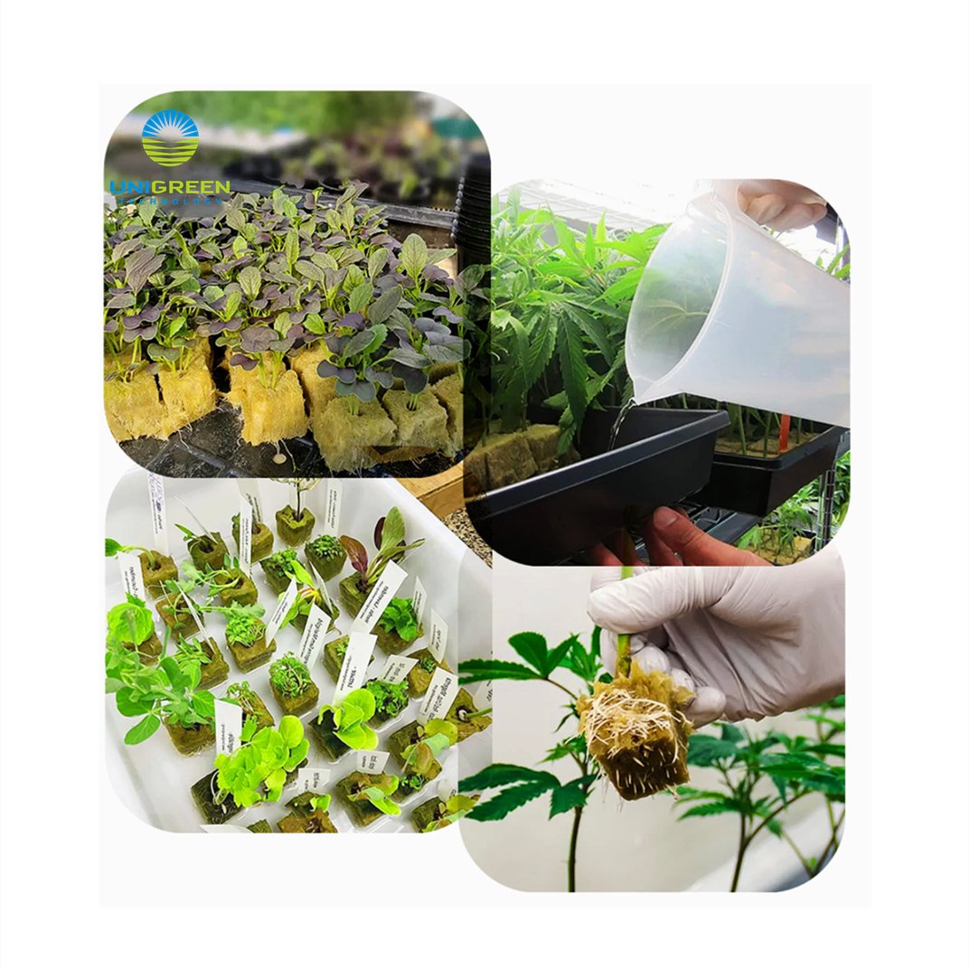 Small Grow Rock Wool Cubes With Planting Holes Clone Rock Commercial Greenhouse Hydroponic Growing Medium Block Wool Grow Plugs