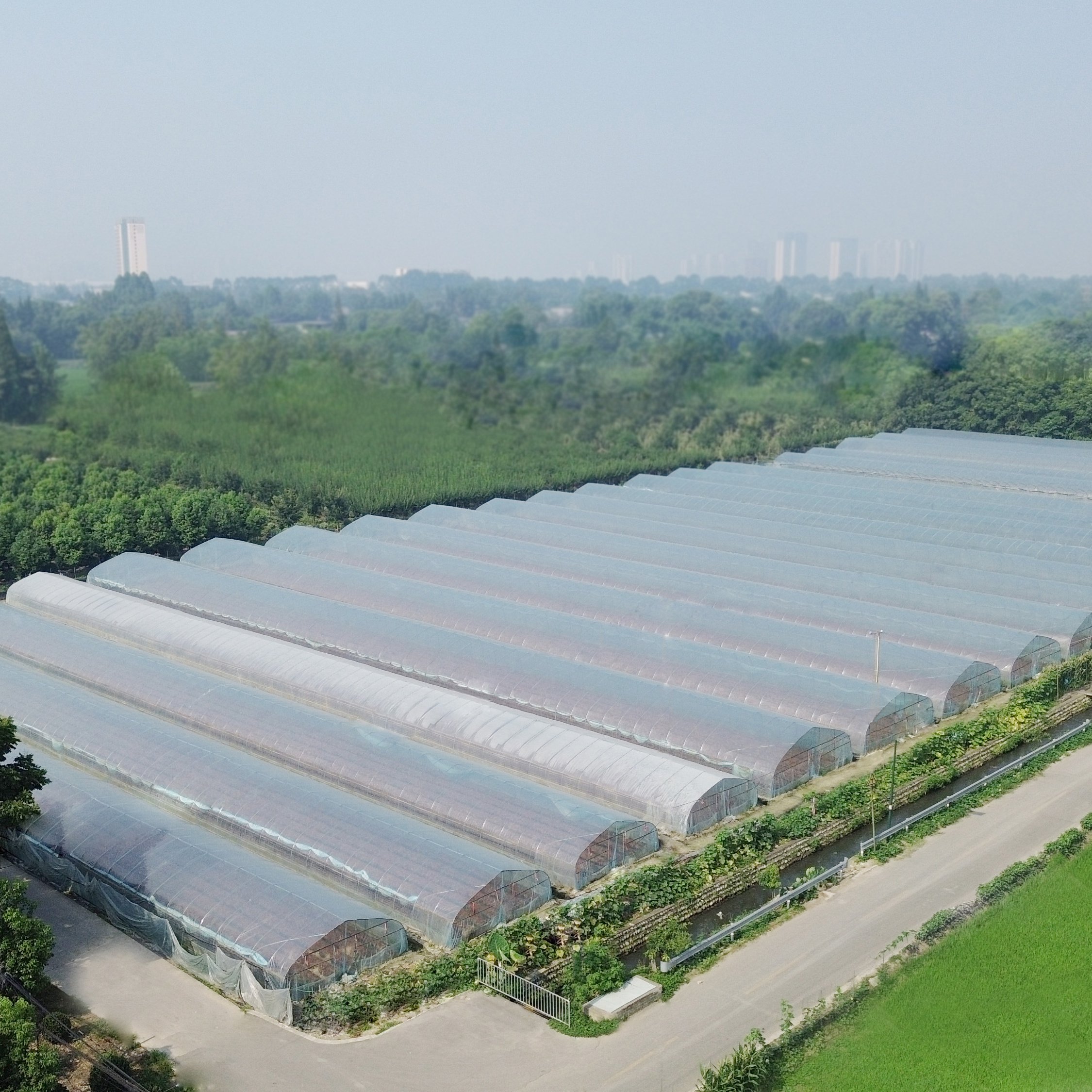 Plastic film round arch high tunnel ventilation greenhouse single-span agriculture greenhouse for sale