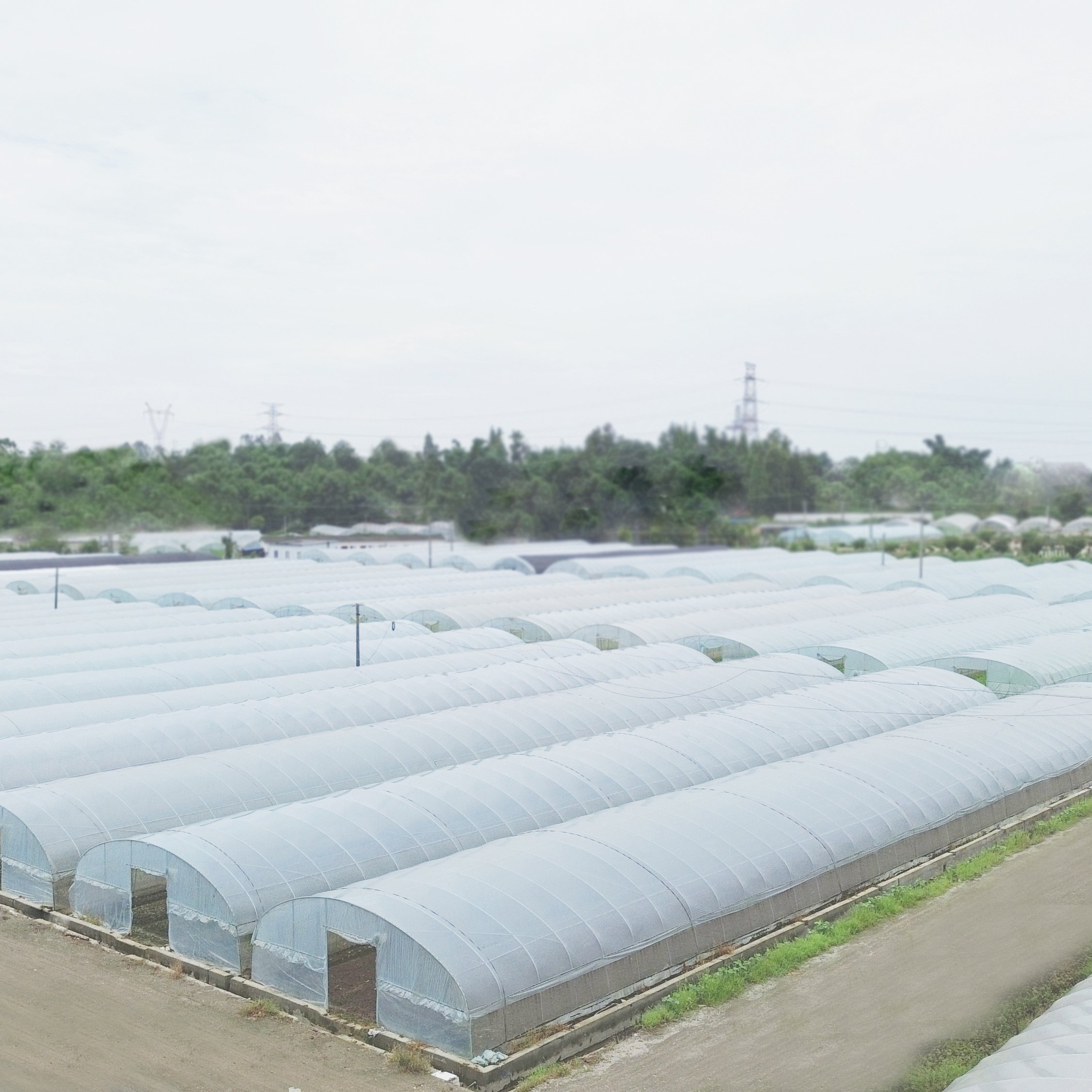 Plastic film round arch high tunnel ventilation greenhouse single-span agriculture greenhouse for sale