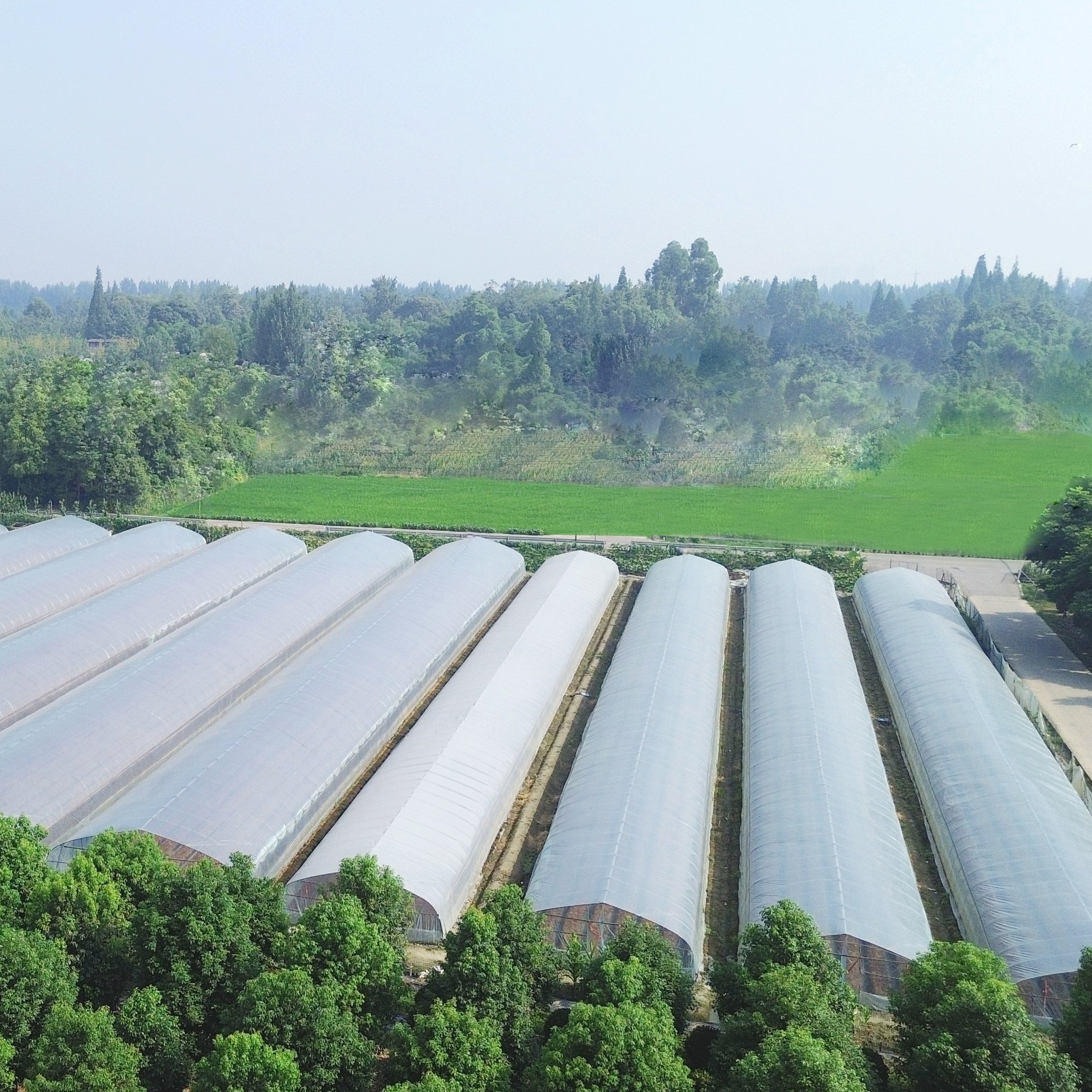 Plastic film round arch high tunnel ventilation greenhouse single-span agriculture greenhouse for sale
