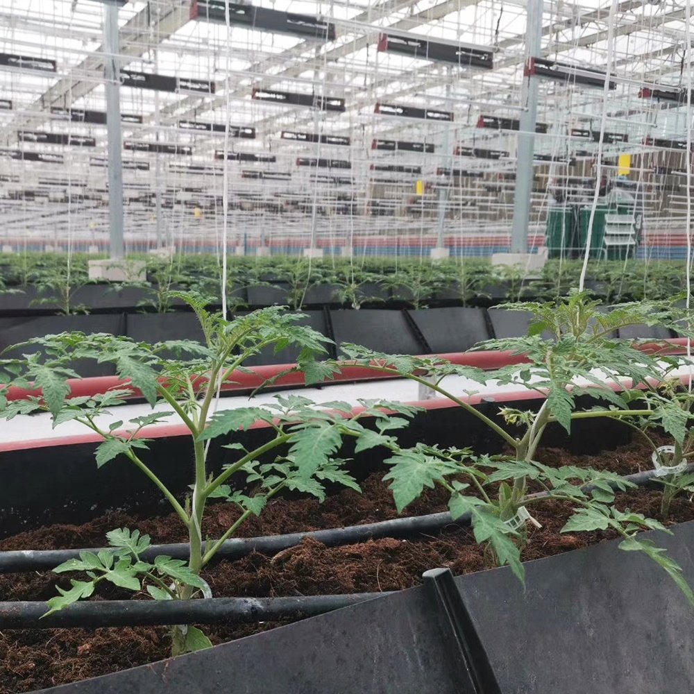 Agricultural greenhouses plastic hydroponic vegetable growing trough