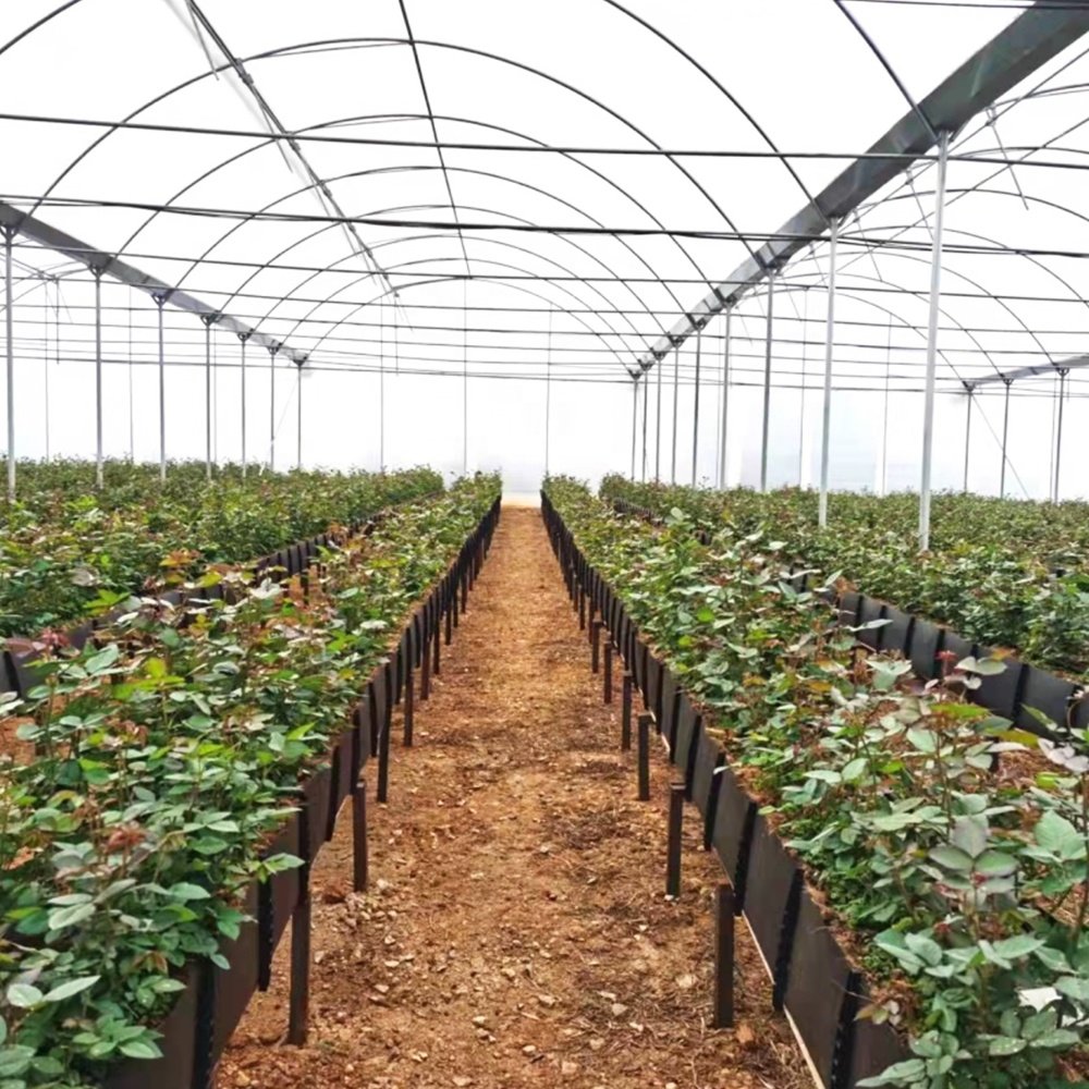 Agricultural greenhouses plastic hydroponic vegetable growing trough