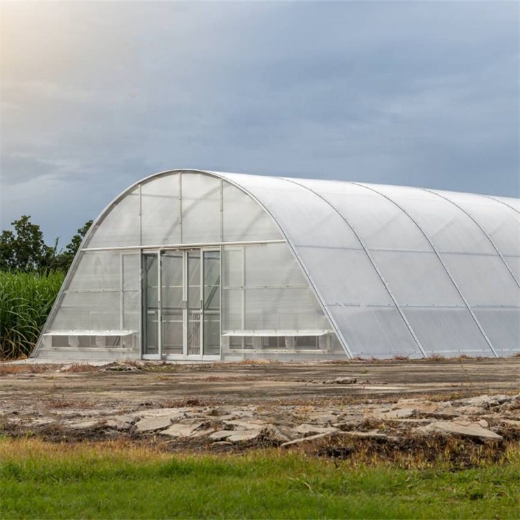 Polycarbonate dome greenhouse drying chilli solar dry tunnel greenhouse for vegetables and fruits