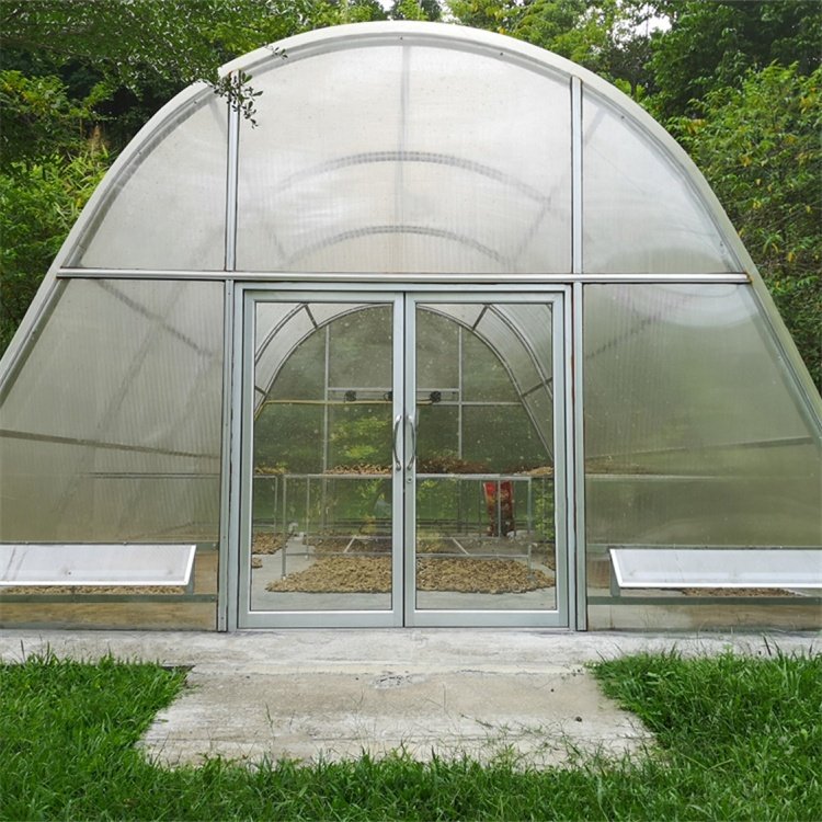 Polycarbonate dome greenhouse drying chilli solar dry tunnel greenhouse for vegetables and fruits