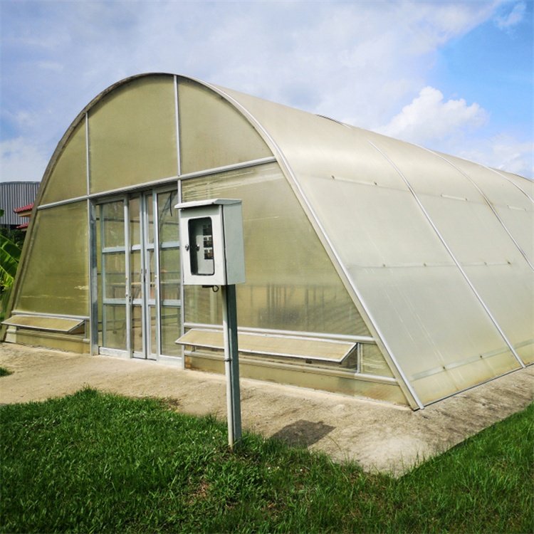 Polycarbonate dome greenhouse drying chilli solar dry tunnel greenhouse for vegetables and fruits
