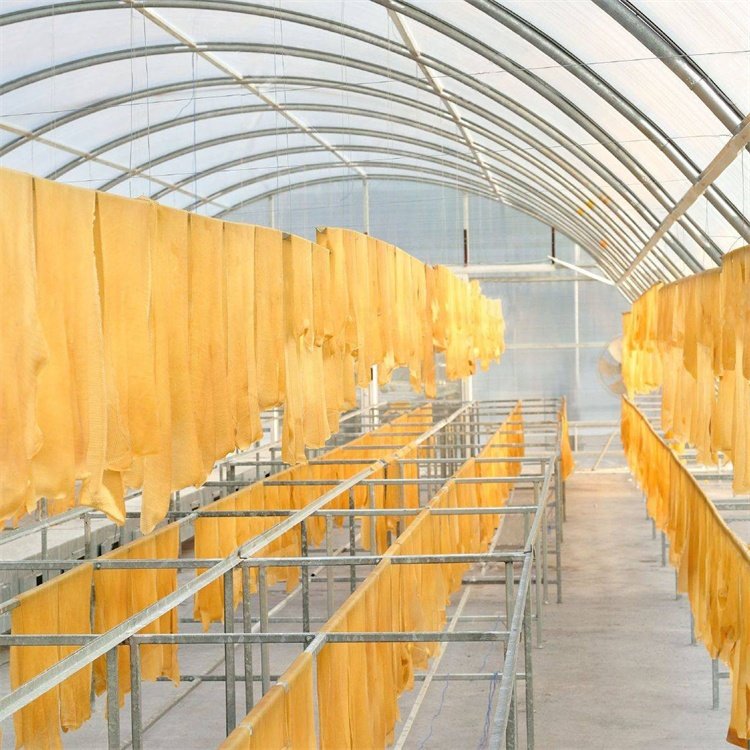 Polycarbonate dome greenhouse drying chilli solar dry tunnel greenhouse for vegetables and fruits
