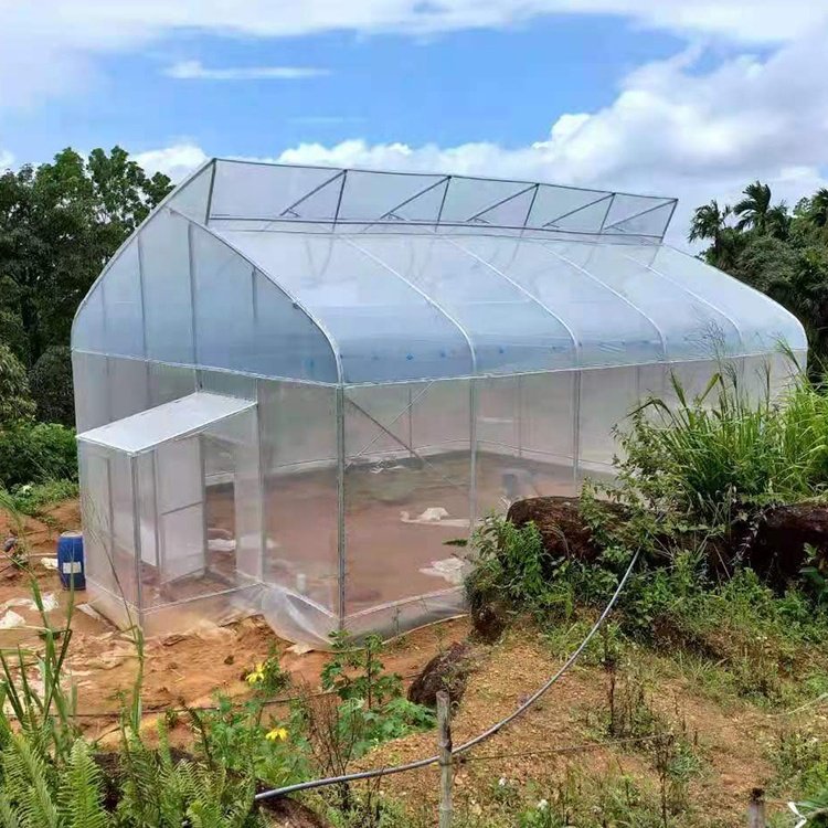 Baolida Factory Galvanized Steel Structure Tunnel Tomato 150 200 Micron Plastic Pe Film Greenhouse For Vegetables Girowing