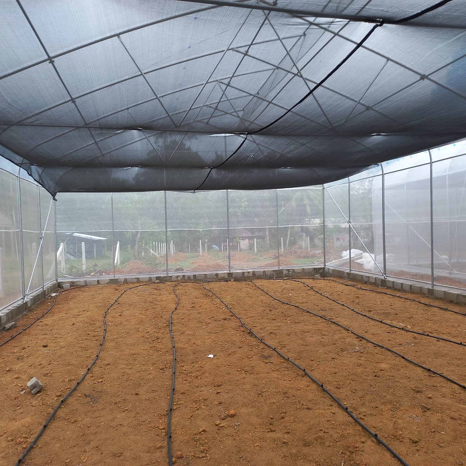 Baolida Factory Galvanized Steel Structure Tunnel Tomato 150 200 Micron Plastic Pe Film Greenhouse For Vegetables Girowing