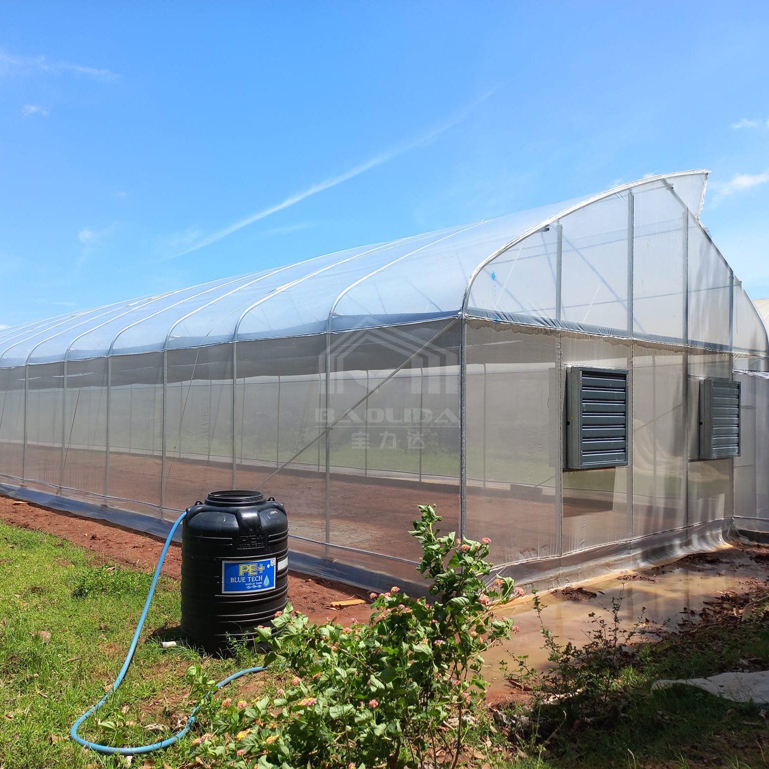Baolida Factory Galvanized Steel Structure Tunnel Tomato 150 200 Micron Plastic Pe Film Greenhouse For Vegetables Girowing