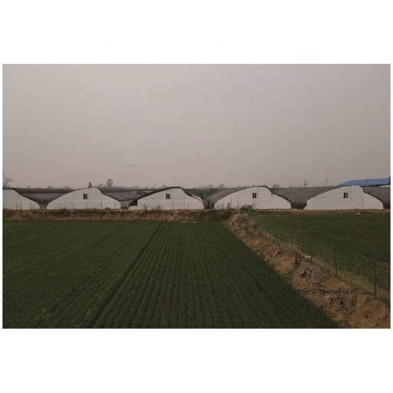 Factory Direct Sales Shed Environmental Optimization Yin-Yang Greenhouse