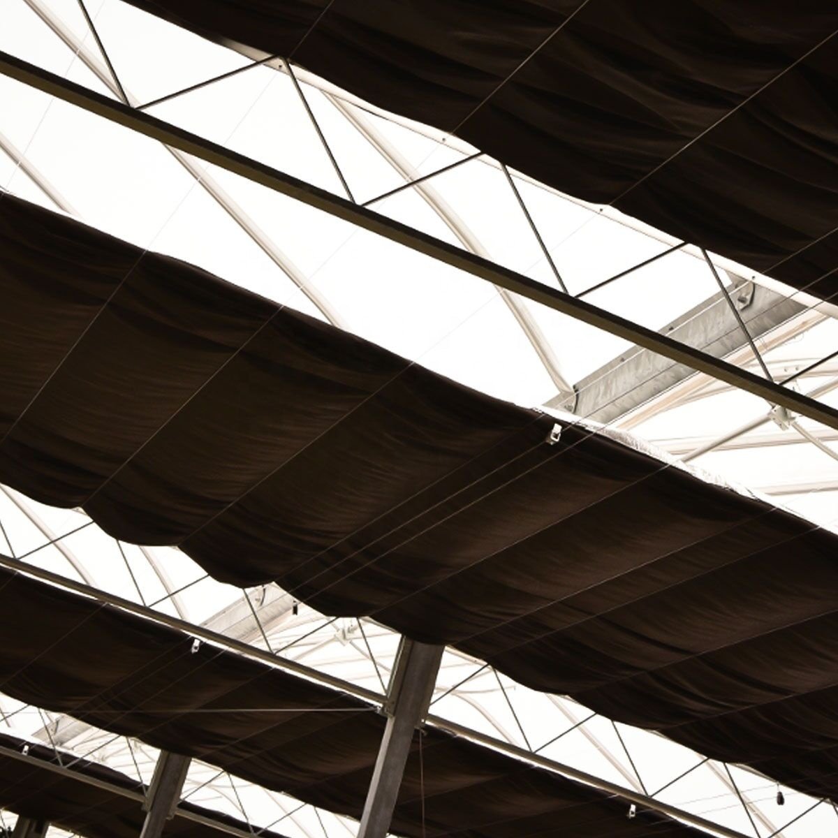 Promotional Various Blackout Greenhouse Tunnel Fully Automated Light Deprivation Greenhouse