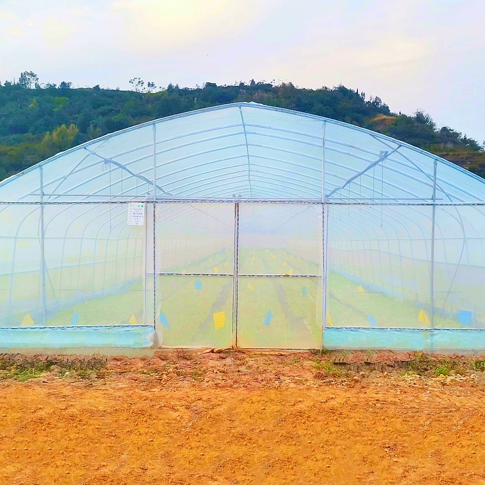Good Quality Easily Installed Agricultural Commercial Green House Greenhouse Invernadero