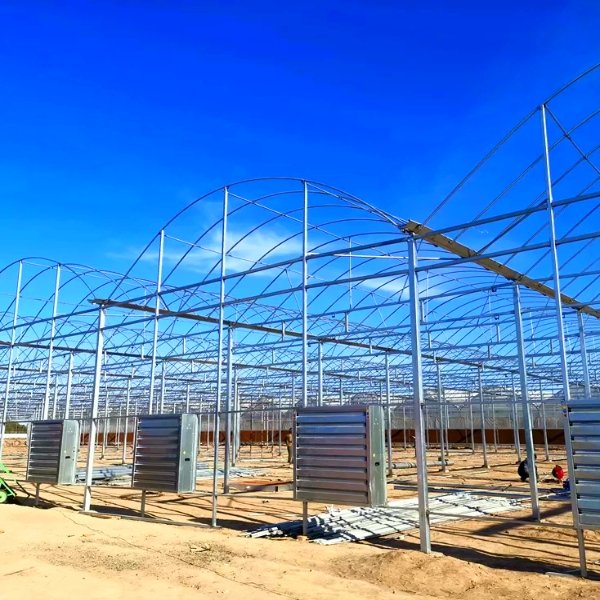 Good Quality Easily Installed Agricultural Commercial Green House Greenhouse Invernadero