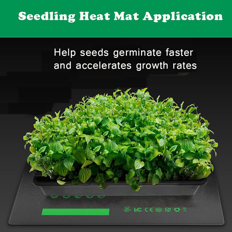 Cheap Wholesale Seeding Warm Growing Greenhouse Starter Heated Seed Germination Grow Kit With Heat Mat Seedling Tray Microgreen