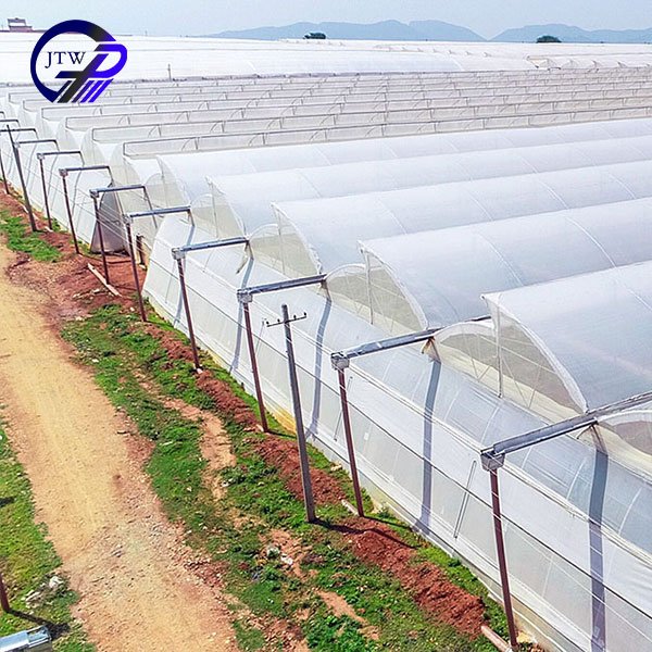 Wholesale Plastic Agricultural Greenhouses Film For Vegetables Flowers Garden Greenhouse Tunnel For Agriculture Green House