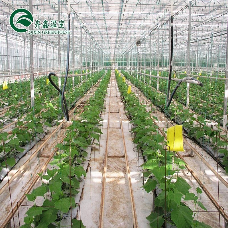 hydroponics grow kit system for greenhouse