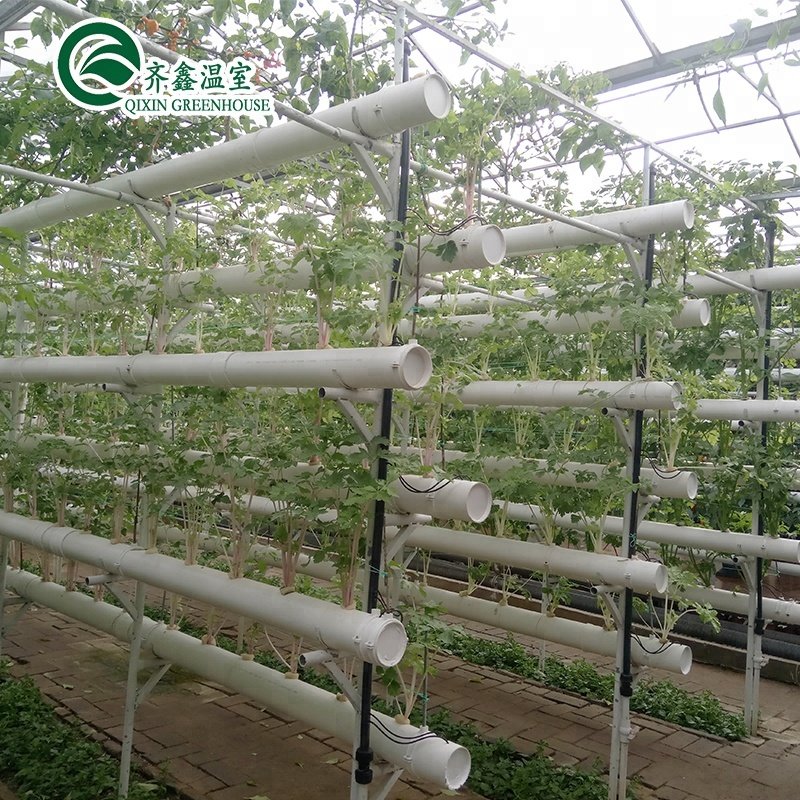 hydroponics grow kit system for greenhouse