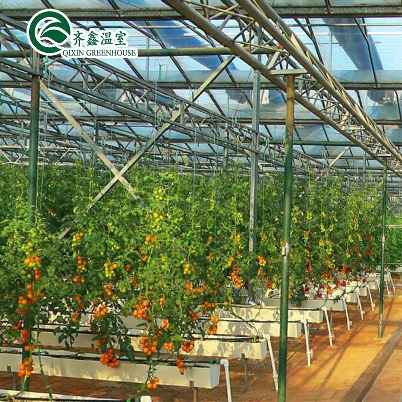 hydroponics grow kit system for greenhouse