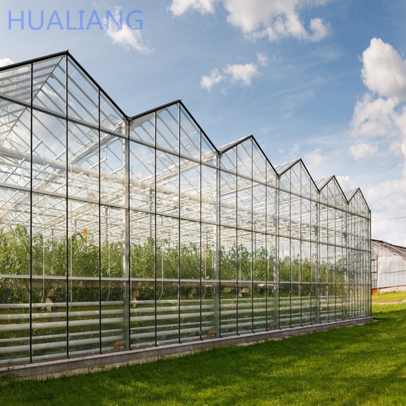 Low Price Commercial intelligent Glass Greenhouse With Hydroponic Systems Greenhouse Factory