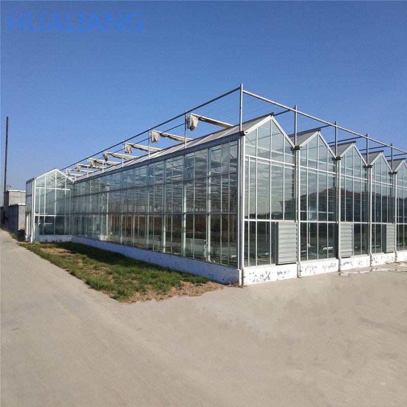 Low Price Commercial intelligent Glass Greenhouse With Hydroponic Systems Greenhouse Factory