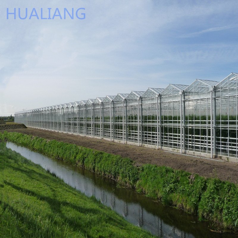 Low Price Commercial intelligent Glass Greenhouse With Hydroponic Systems Greenhouse Factory