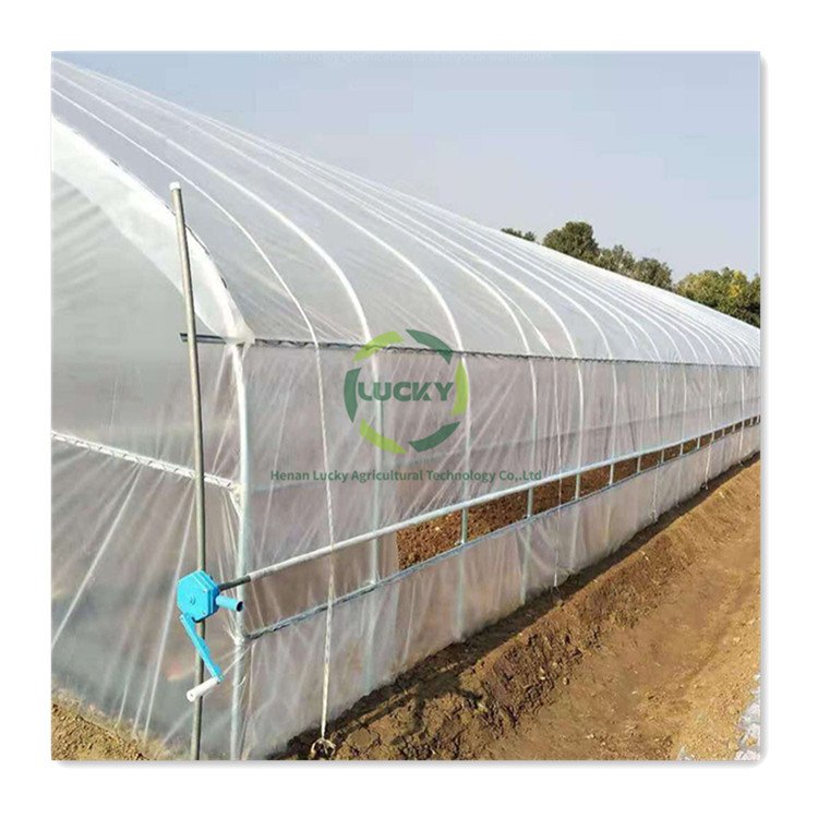 Chinese Hot Sale Agricultural Greenhouse Structure Plastic Film Single Span Greenhouse