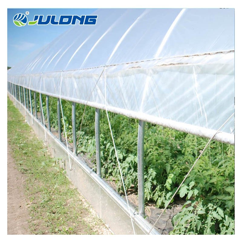 China Winter Green House For Vegetables Agriculture Productive Plastic Shed Single-span Agricultural Greenhouse For Sale