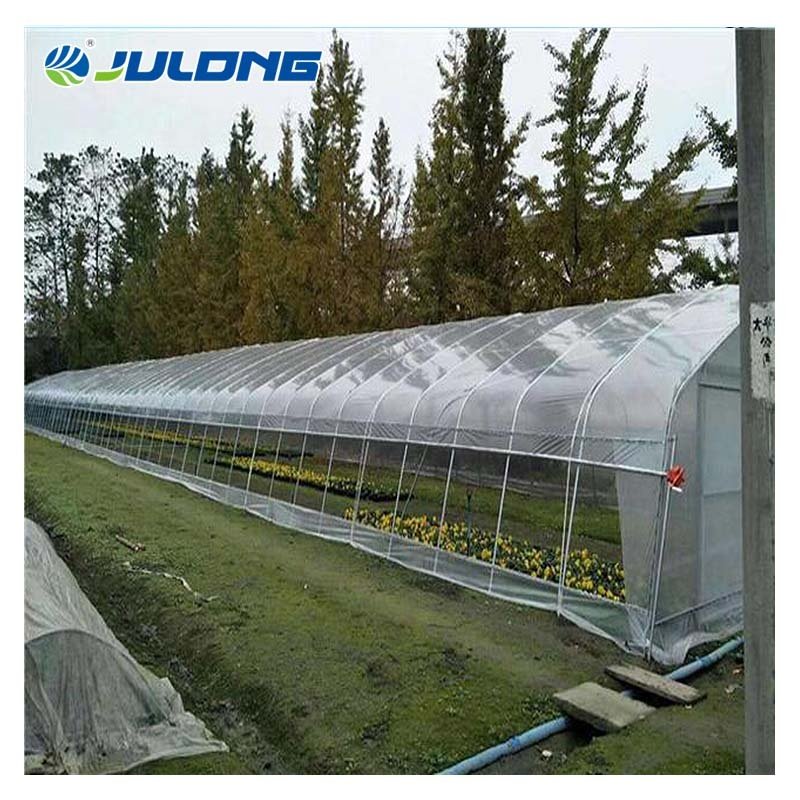 China Winter Green House For Vegetables Agriculture Productive Plastic Shed Single-span Agricultural Greenhouse For Sale