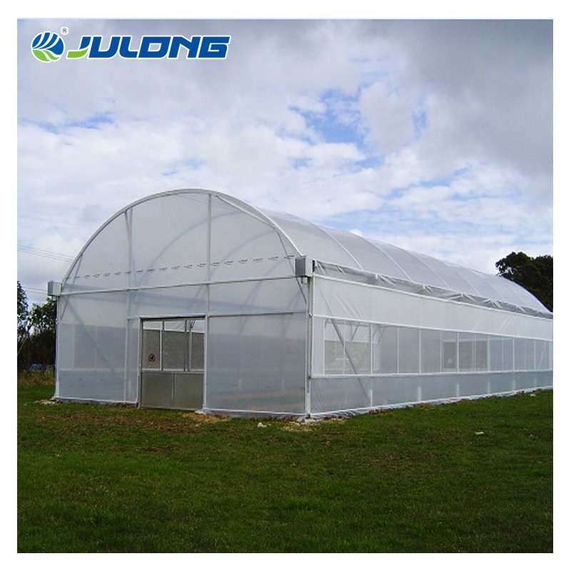 China Winter Green House For Vegetables Agriculture Productive Plastic Shed Single-span Agricultural Greenhouse For Sale