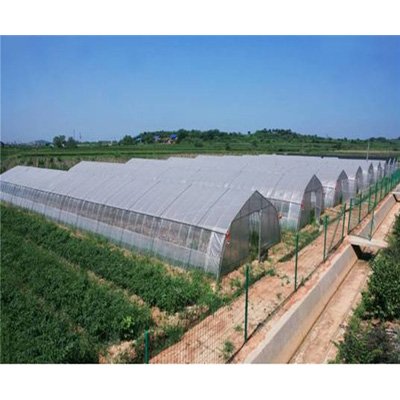 Cheap Traditional Single-Layer UV Resistant PE Film Green house Small Size Traditional Agricultural Greenhouse Fim