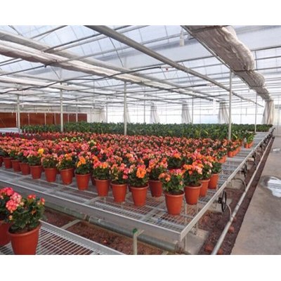 Cheap Traditional Single-Layer UV Resistant PE Film Green house Small Size Traditional Agricultural Greenhouse Fim
