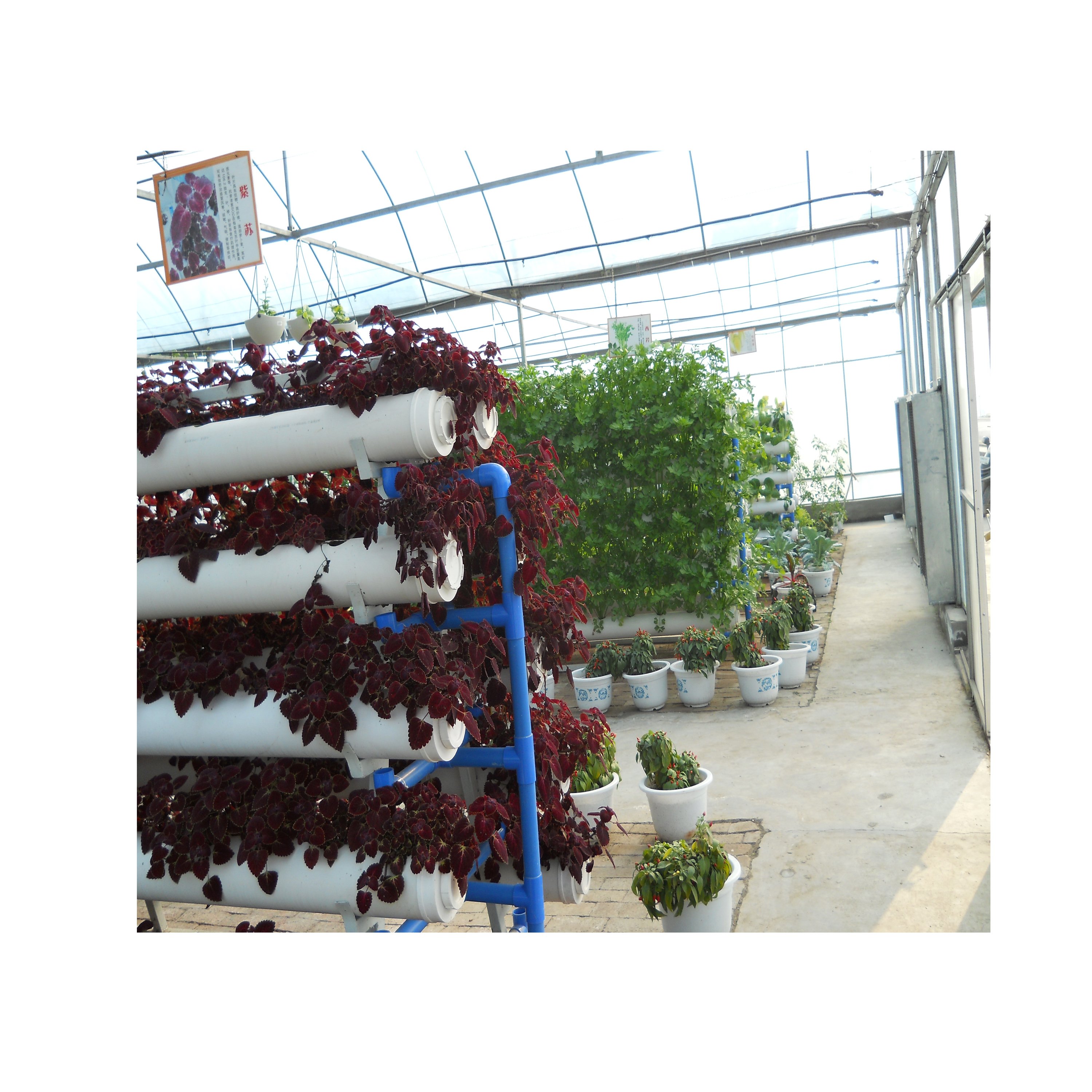Cheap Traditional Single-Layer UV Resistant PE Film Green house Small Size Traditional Agricultural Greenhouse Fim
