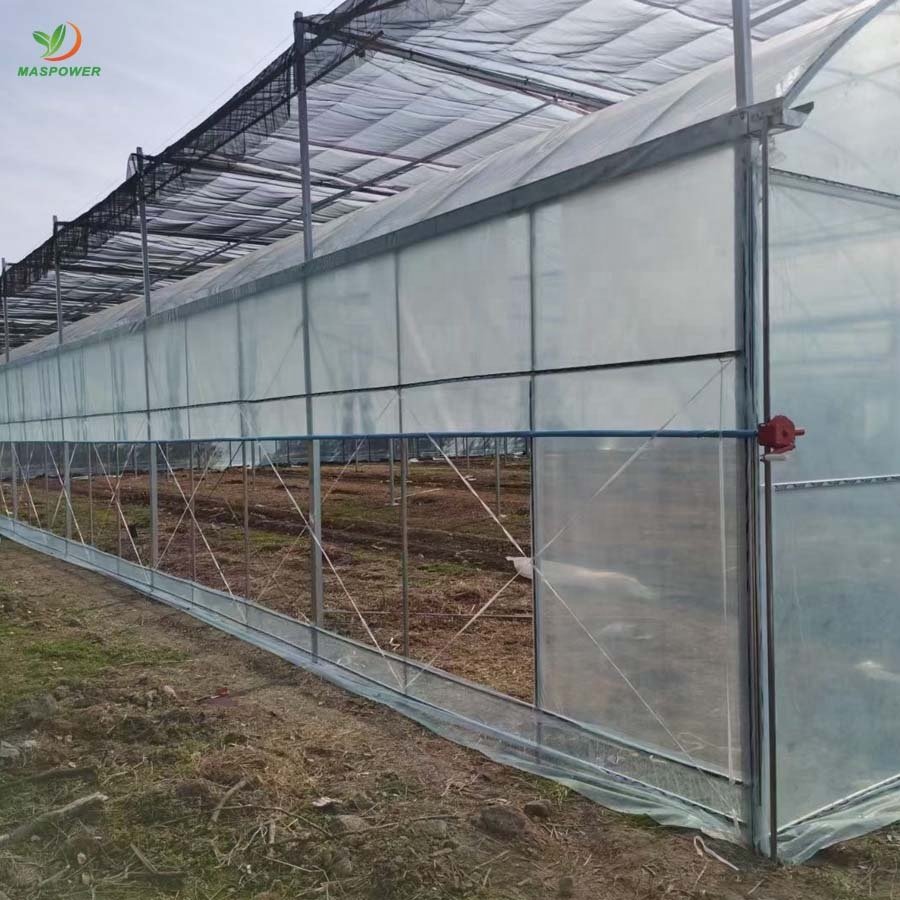 Plastic single-span low cost agricultural greenhouses customizable for plants ,tomato ,lettuce