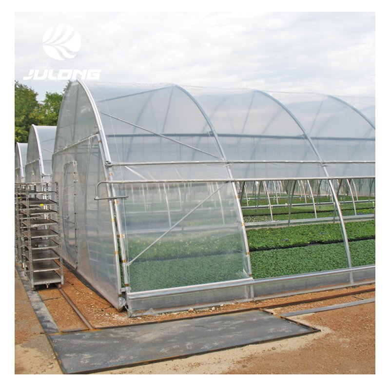 Galvanized steel Frame greenhouse design arches film single span greenhouse agricultural greenhouse