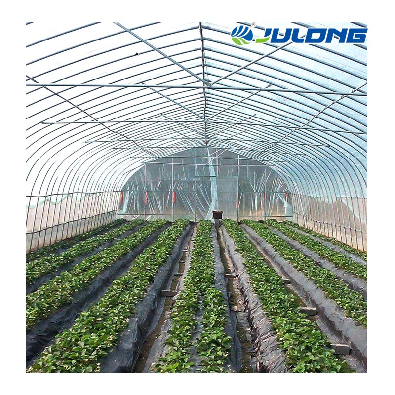 Galvanized steel Frame greenhouse design arches film single span greenhouse agricultural greenhouse